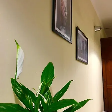 Center Venezuela